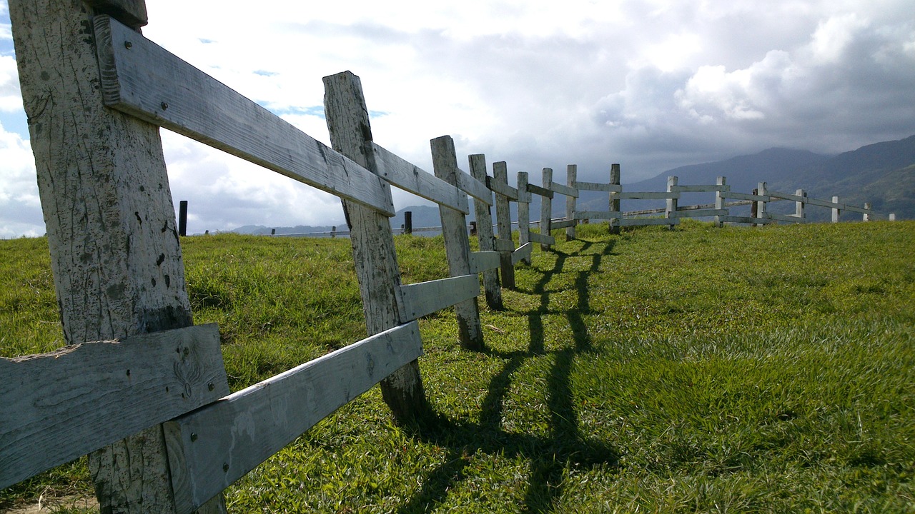 Image - railing cloud grassland