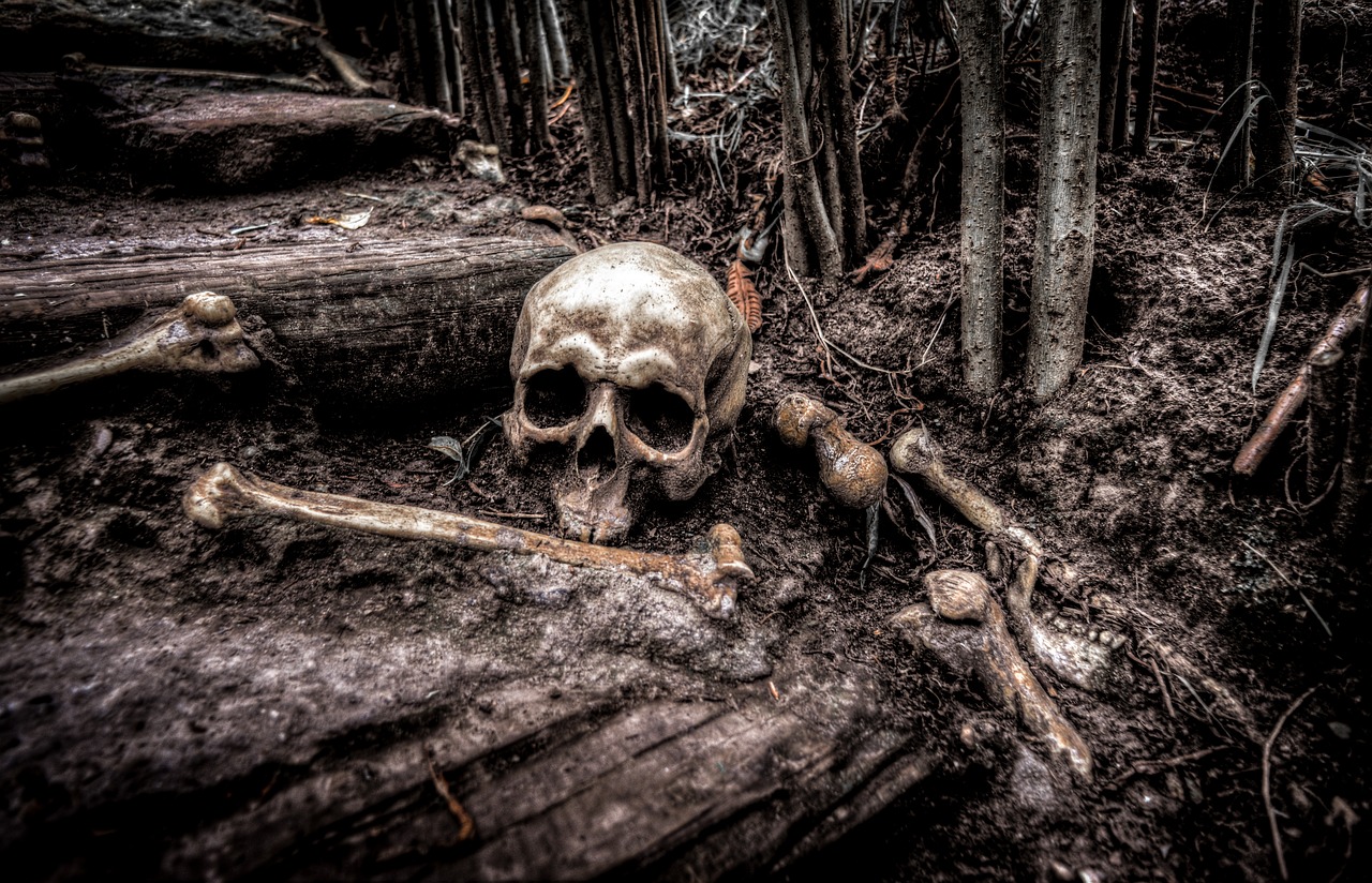 Image - skull bones skeleton head death