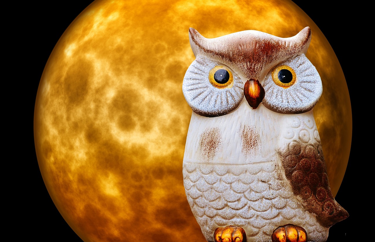 Image - owl moon moonlight night ceramic
