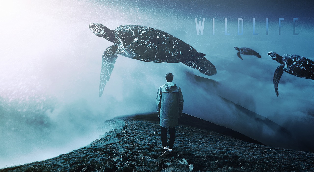 Image - wildlife man wild animal nature