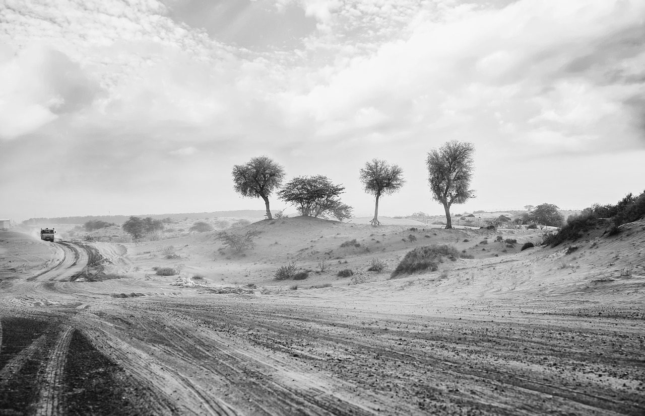 Image - desert monochrome travel road