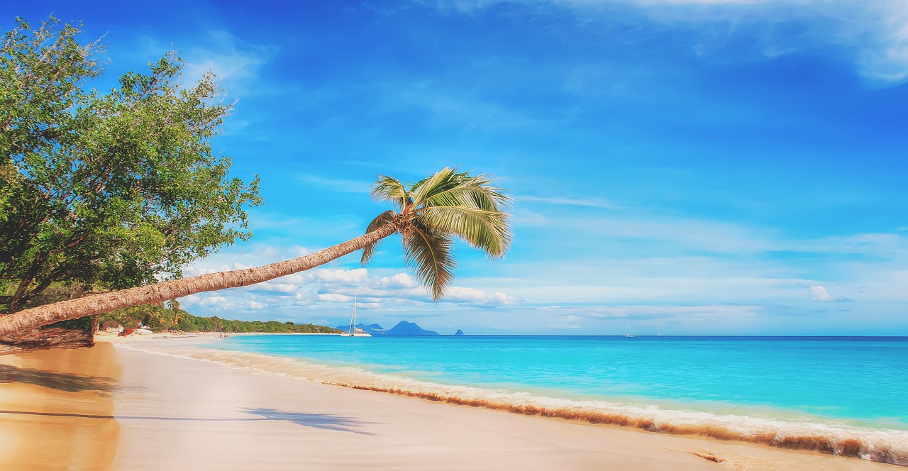 Image - beach the caribbean paradise sand
