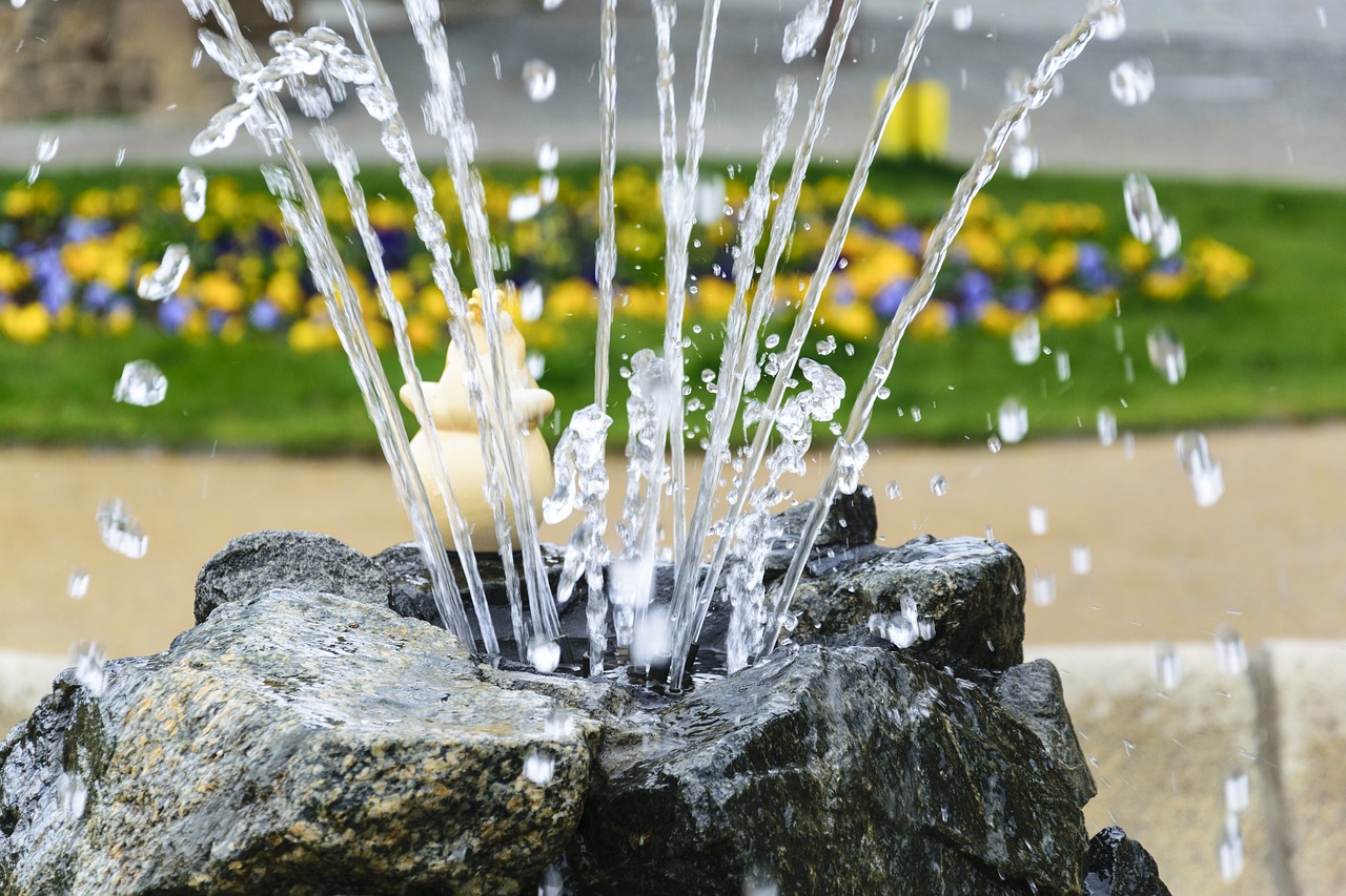 Image - water fontaine color flowers