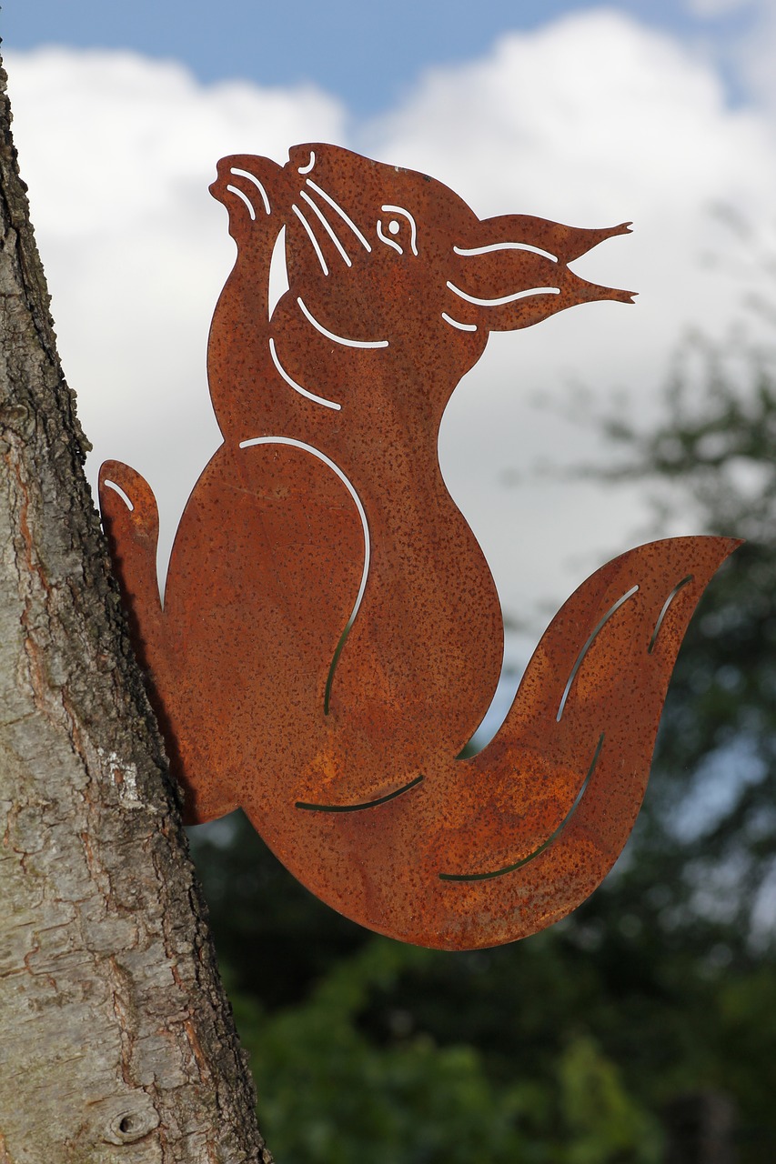 Image - squirrel tree rodent nature animal