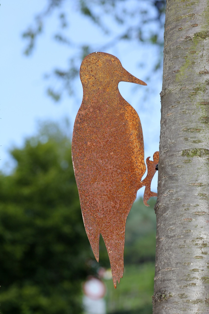 Image - woodpecker tree nature bird