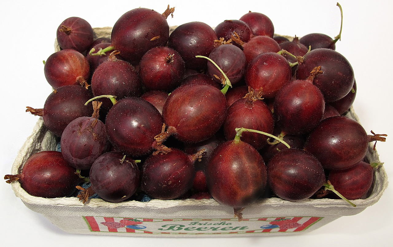 Image - gooseberry berry fruit