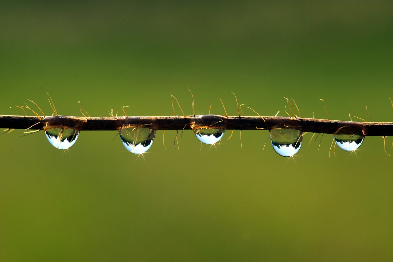 Image - drip mirroring water drop of water