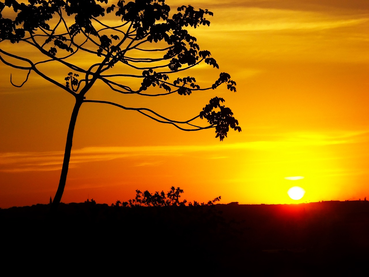 Image - horizon sunset landscape sky