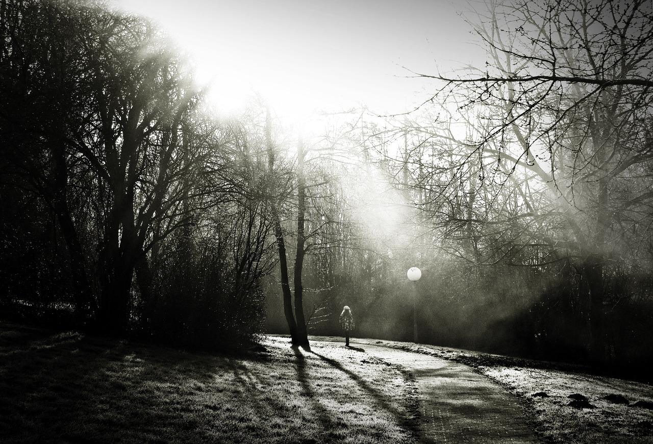 Image - black biel the fog the little girl