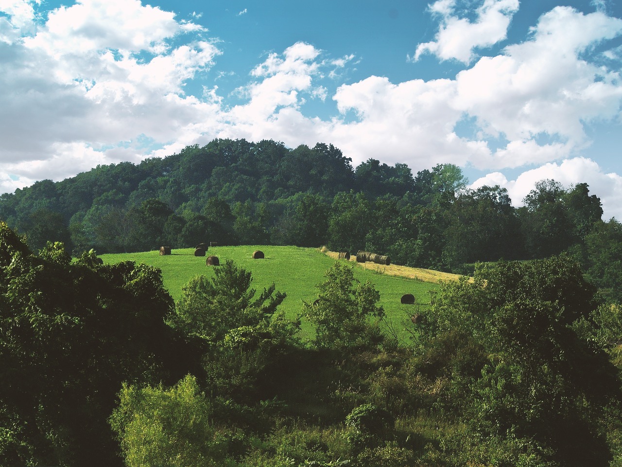 Image - scenery landscape kentucky nature