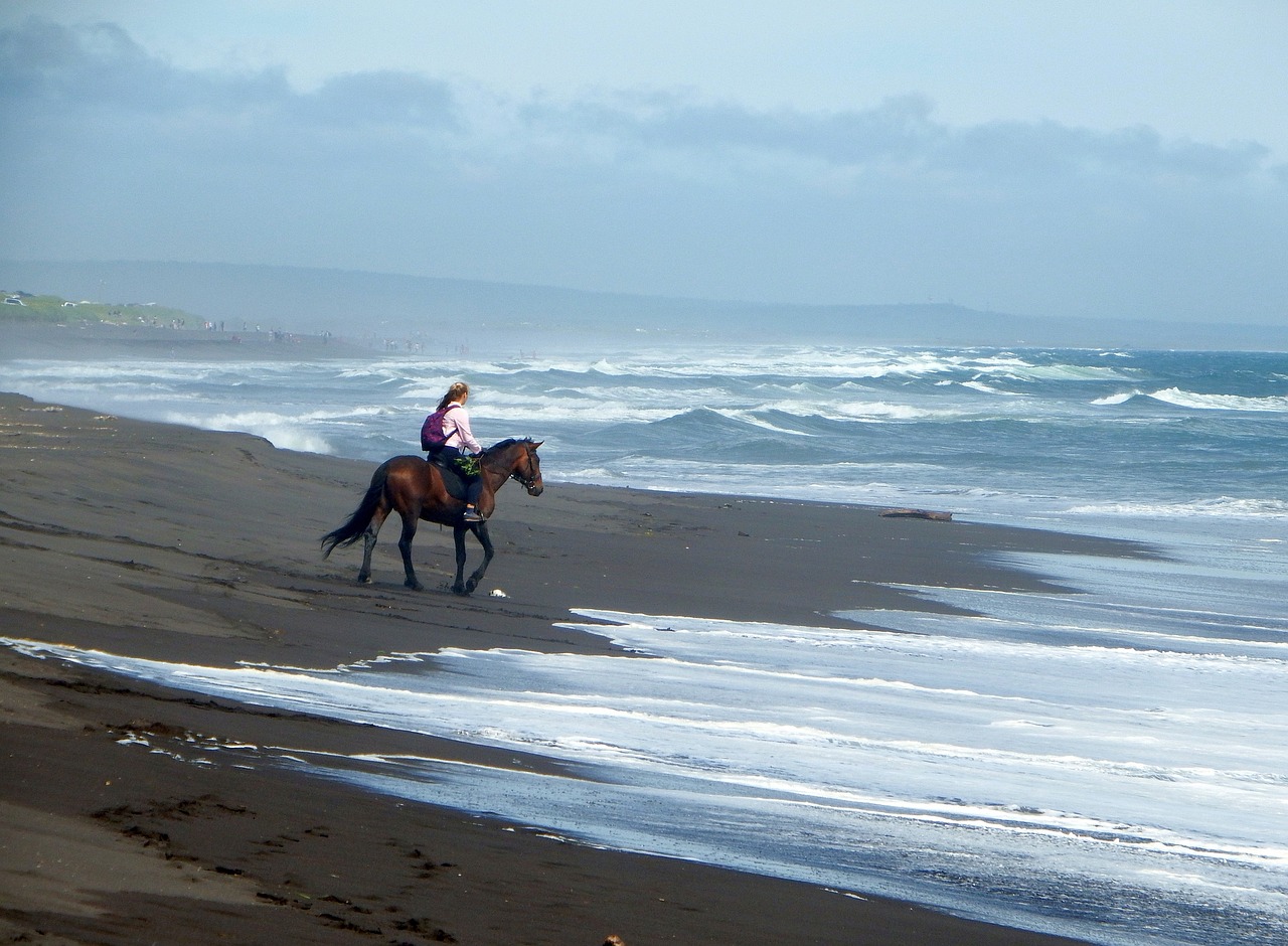 Image - the pacific ocean beach sand wave