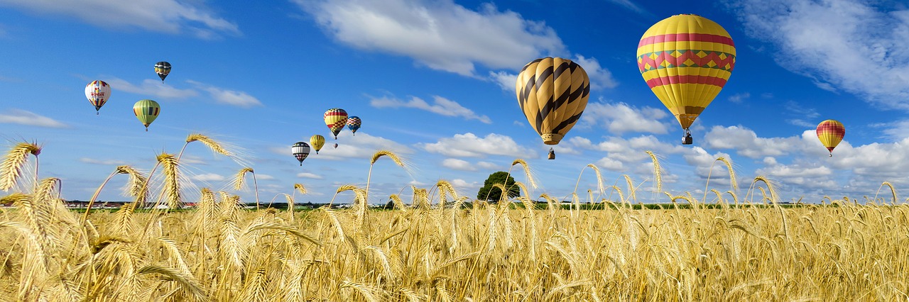 Image - nature landscape field sky wheat