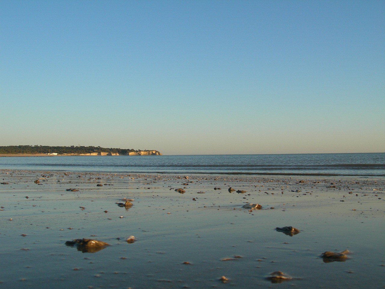Image - beach sand ocean waterpolo