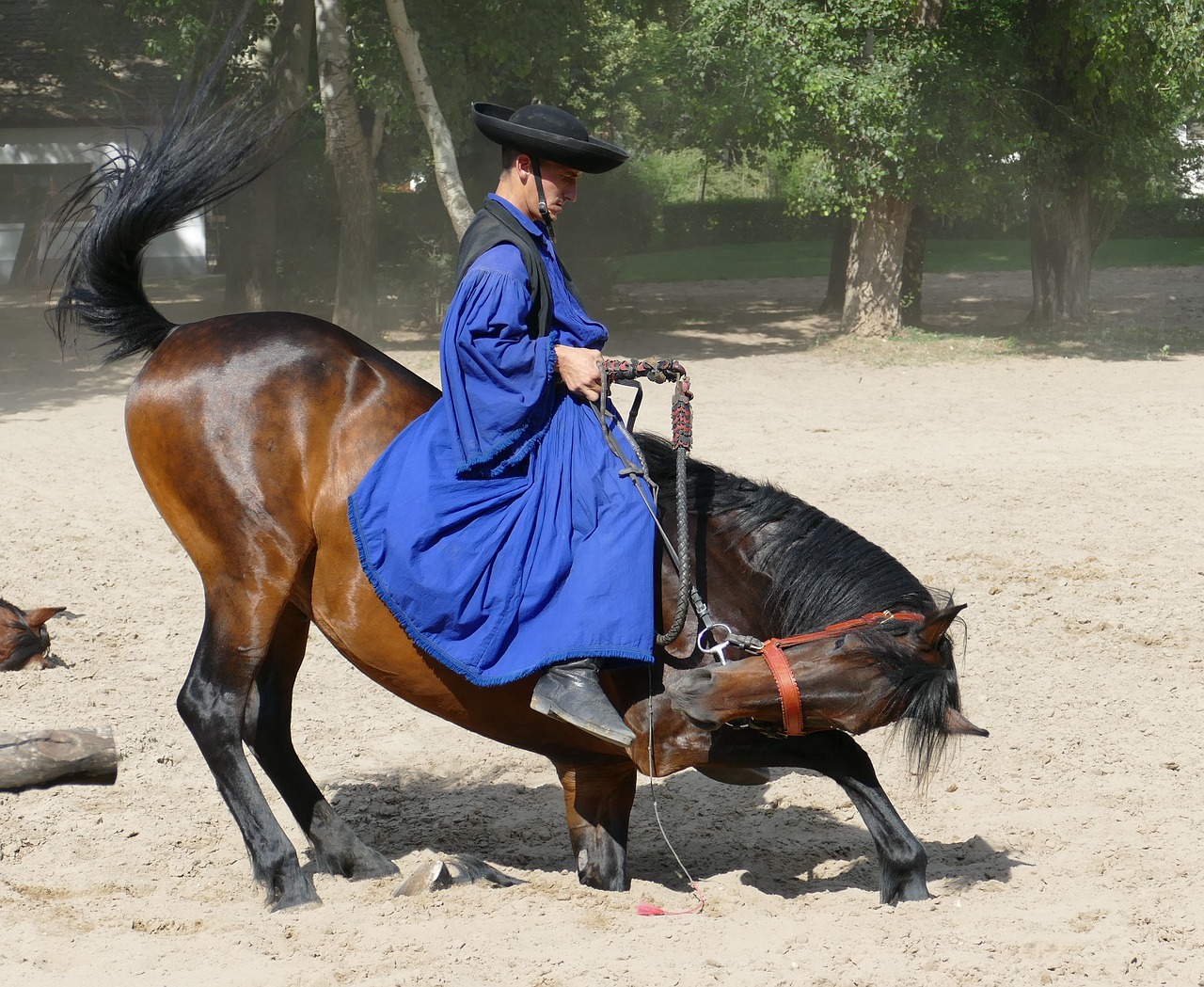 Image - puszta hungary horse farm
