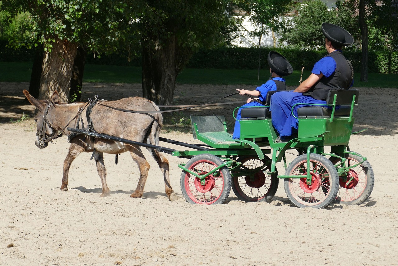 Image - puszta hungary donkey farm