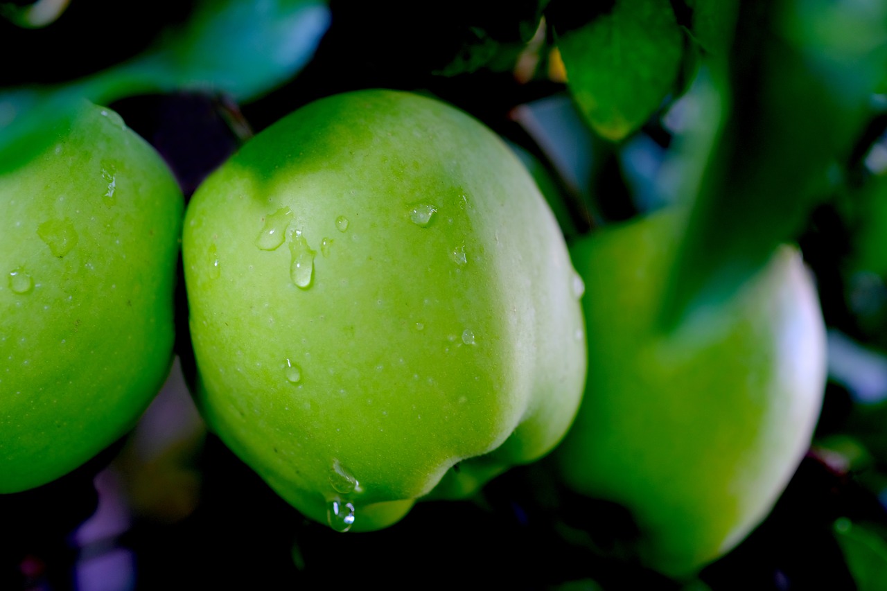 Image - apple rain fruit drip wet