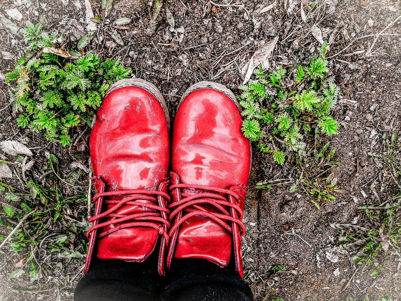 Image - autumn autumn shoes grass