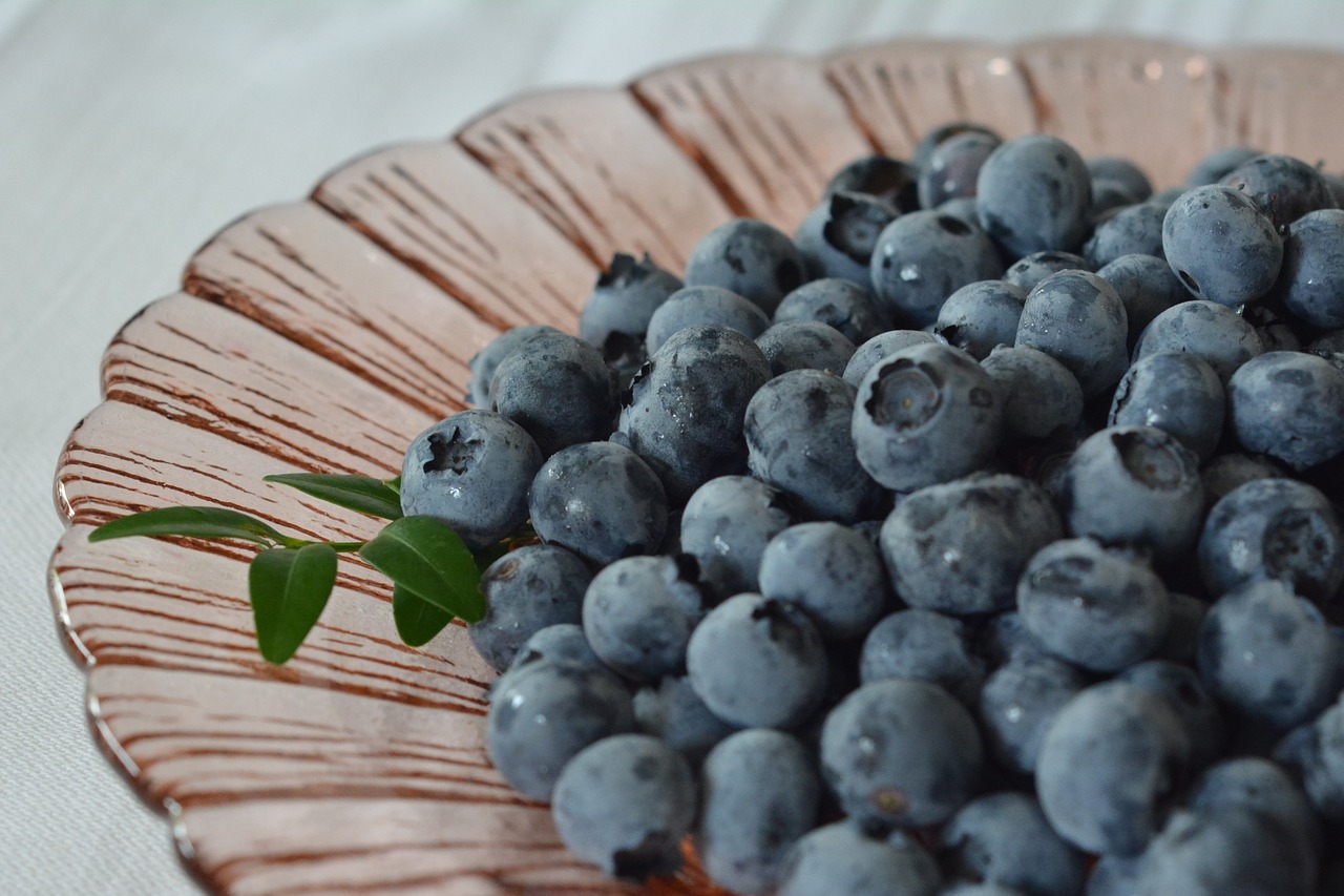 Image - blueberries bilberry berries