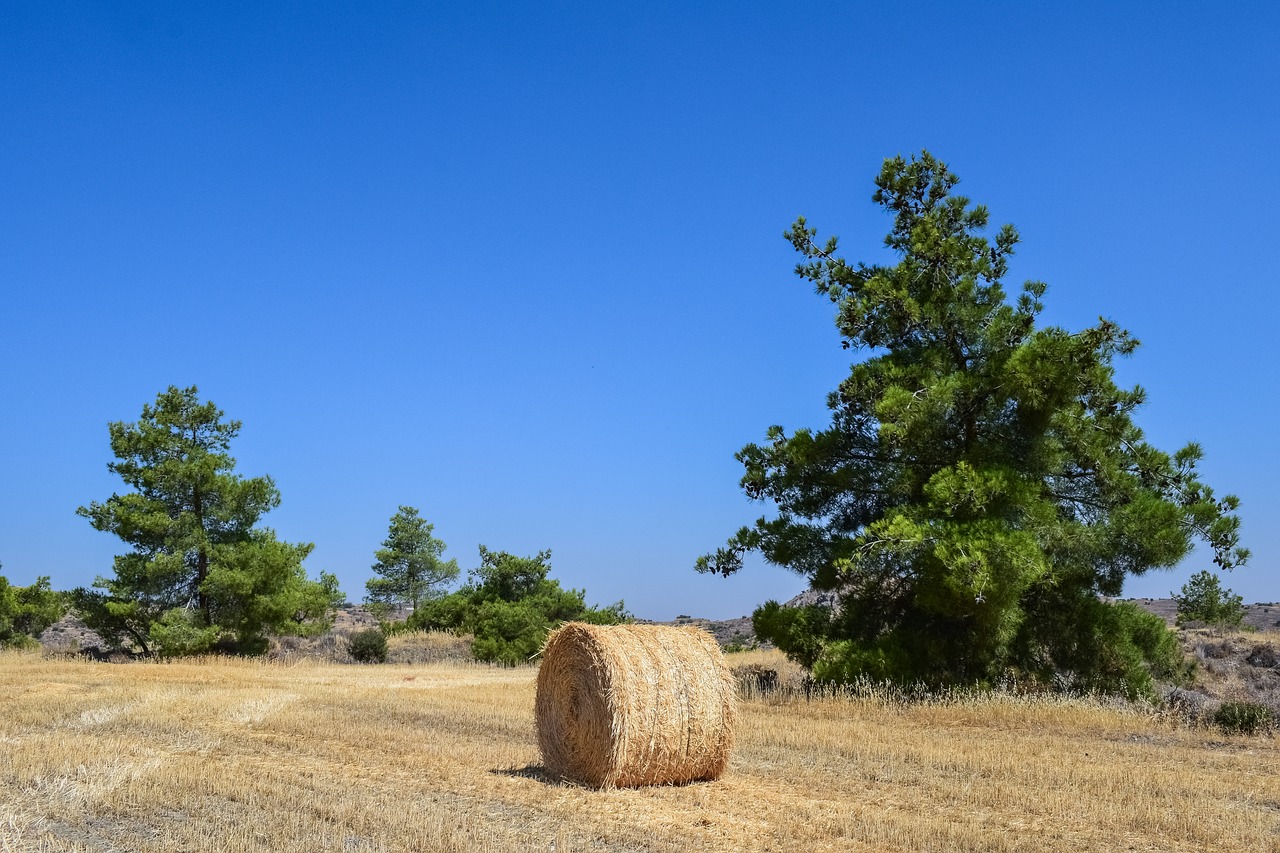 Image - trees landscape field hay bale