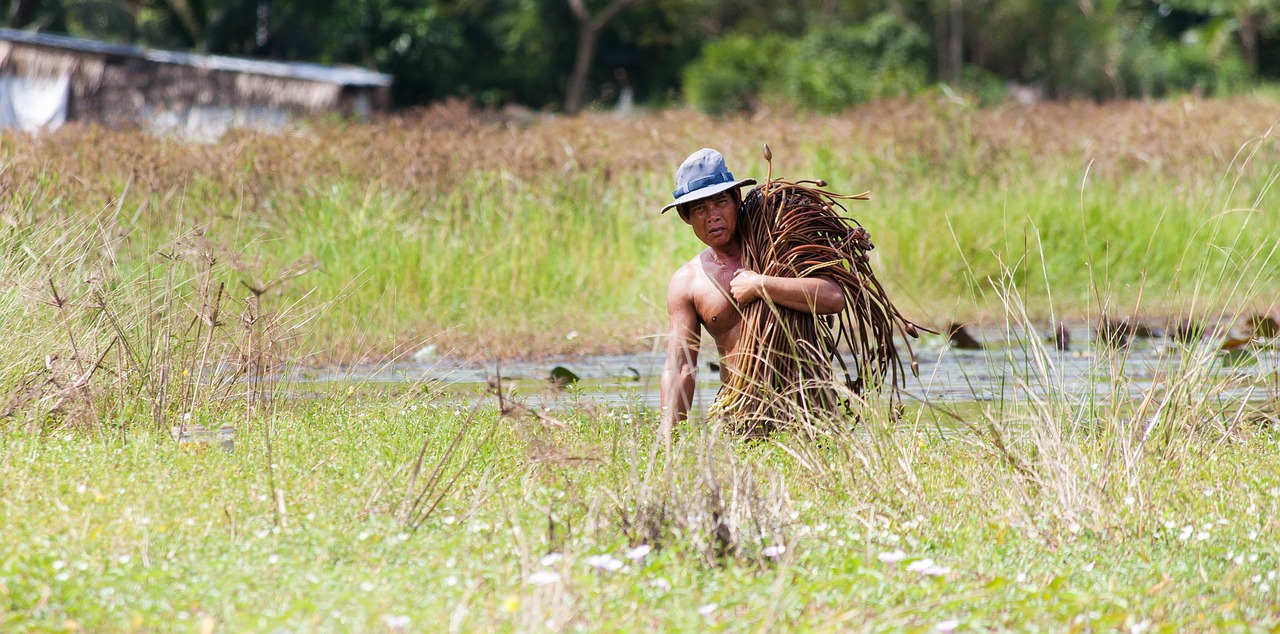 Image - farmer men miserable livelihood