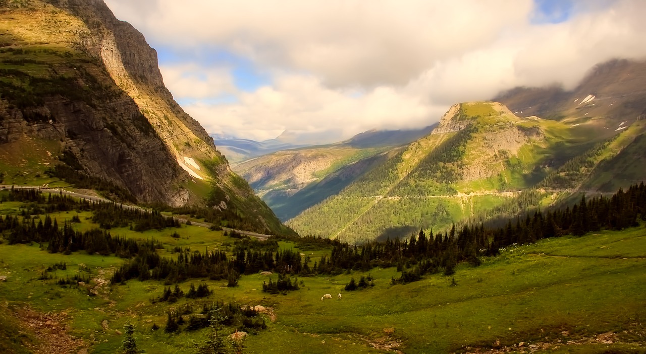 Image - mountains panorama sheep animals