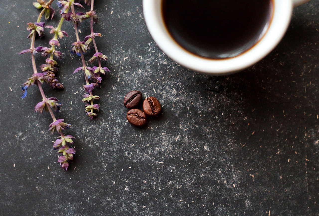 Image - flowers coffee harmony summer