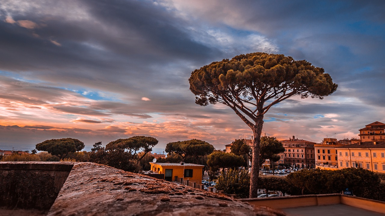 Image - frascati rome sunset tree italy