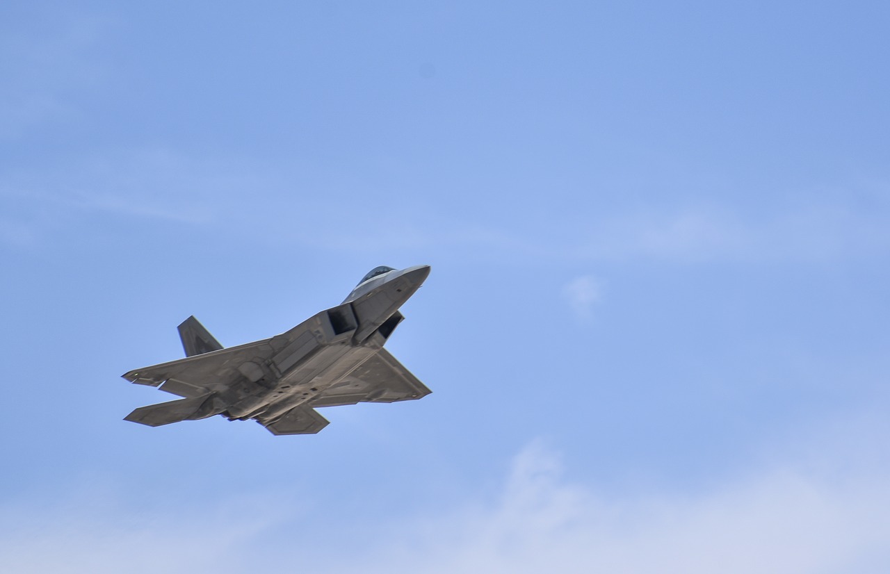 Image - f 22 raptor aircraft aviation