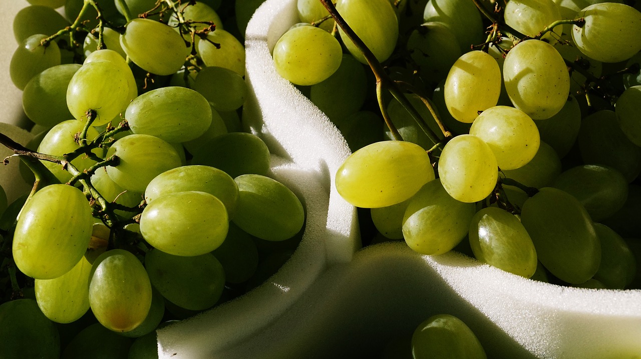 Image - grocery store business grapes fruit