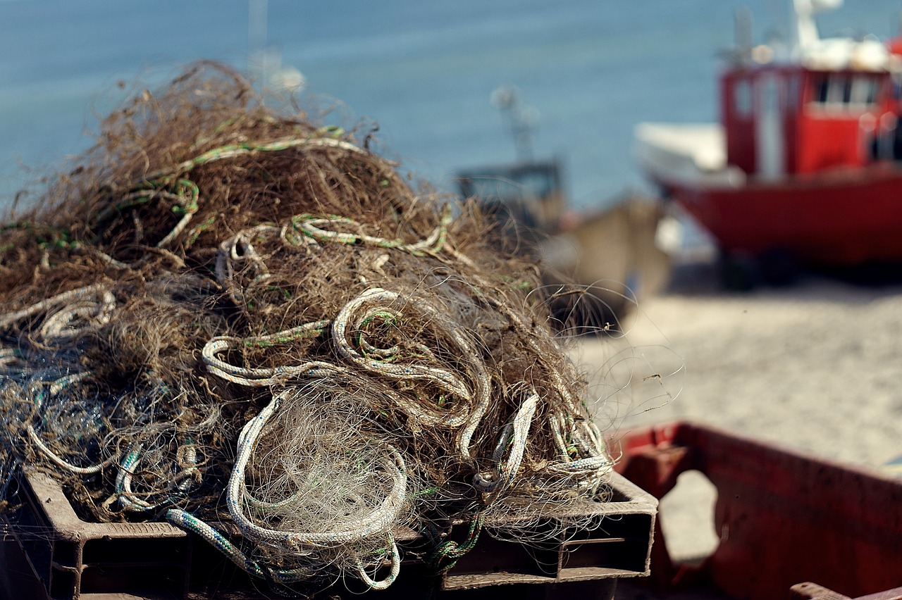 Image - fishing nets cutter field fishing