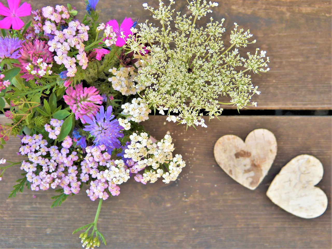 Image - wild flowers wildflowers flowers