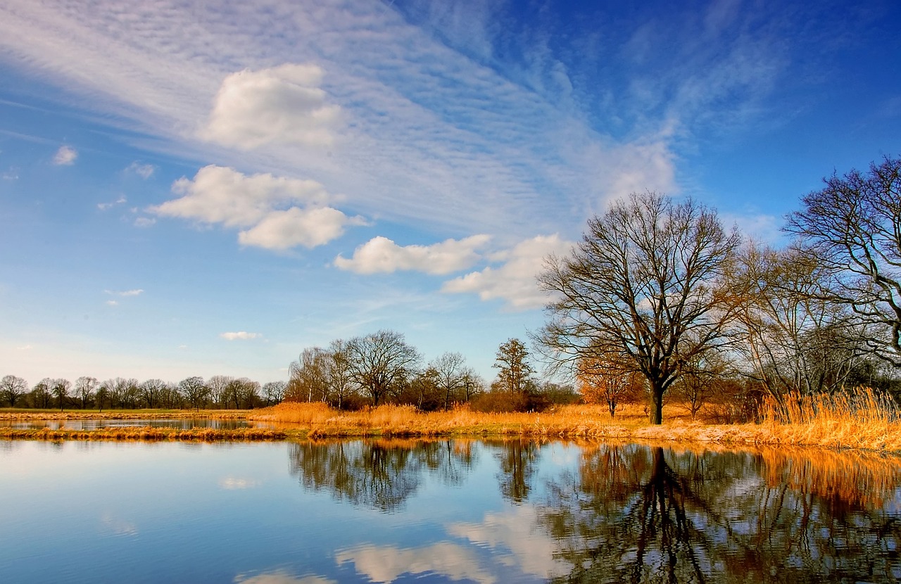 Image - pond nature water mirroring