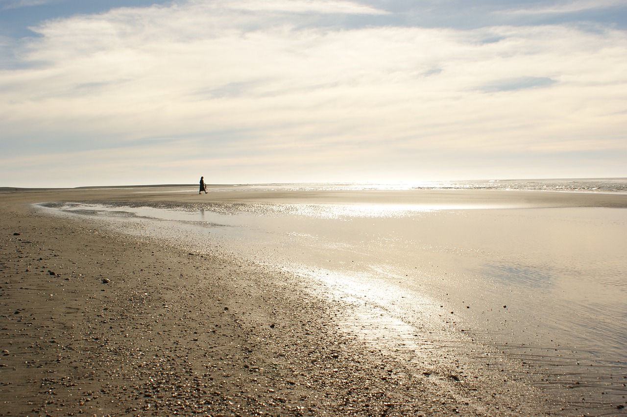 Image - beach evening gold peace