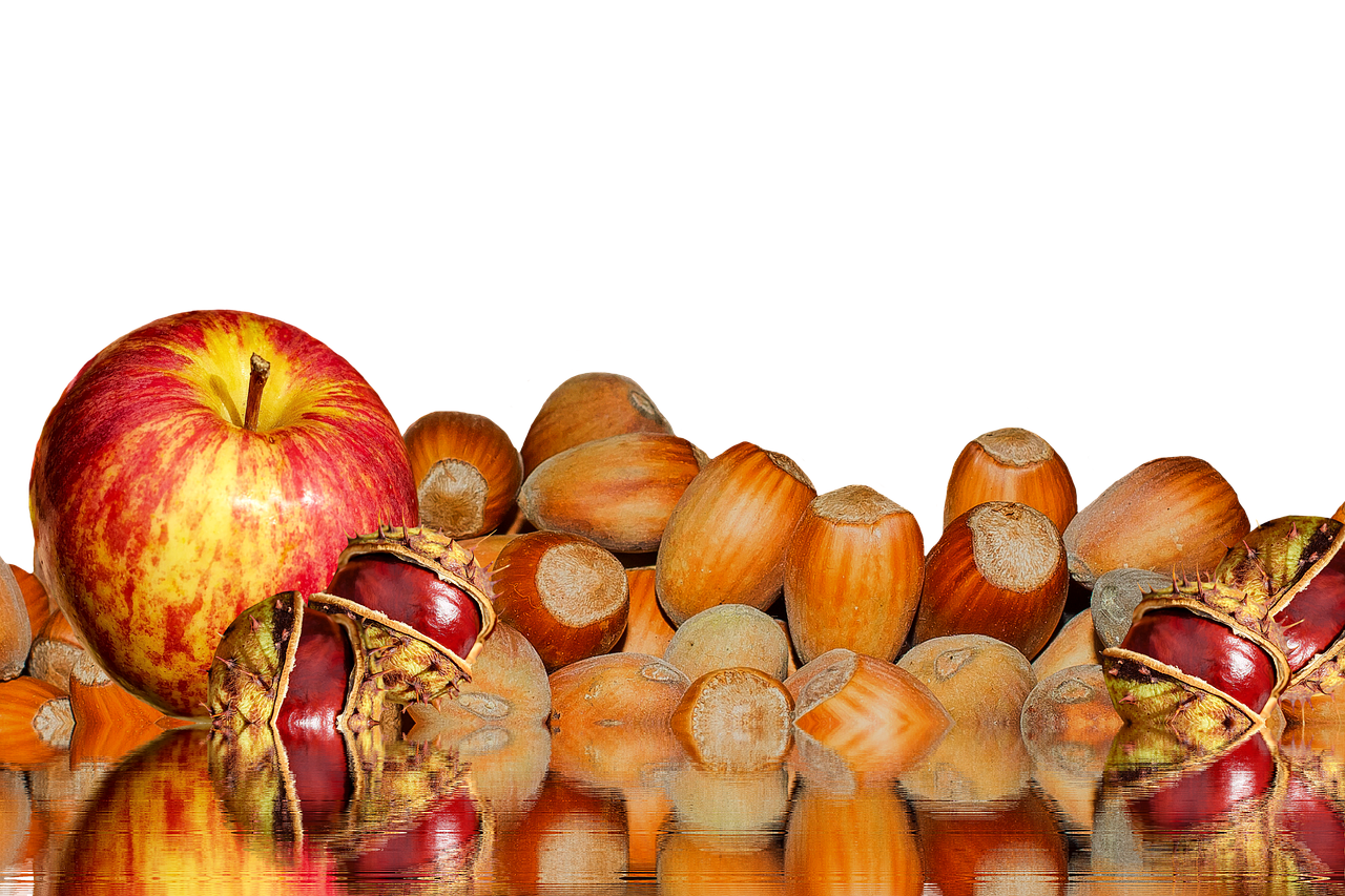 Image - autumn chestnut apple buckeye