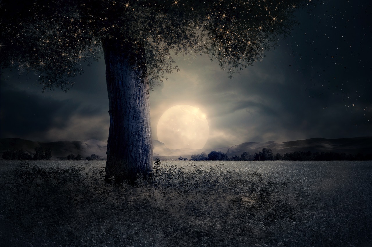 Image - night landscape tree fairy tale