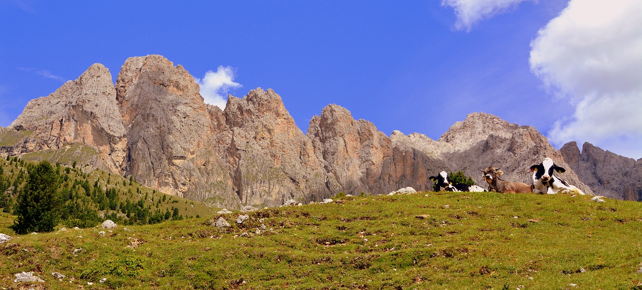 Image - cow pasture rest dolomites