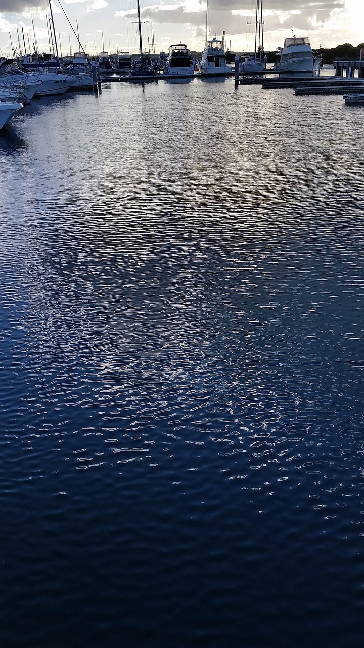 Image - marina boats harbour water dusk