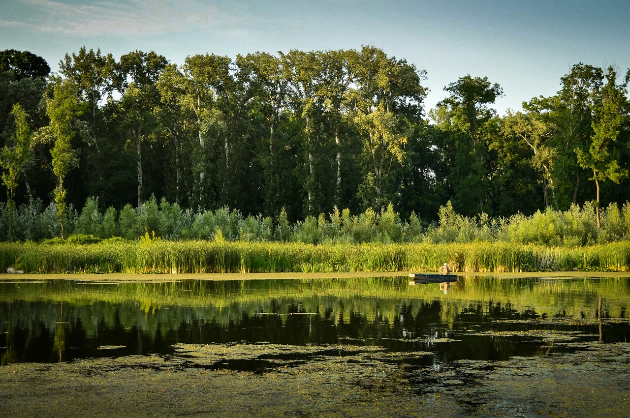 Image - fisherman boat summer backwater