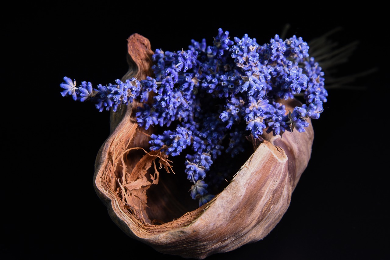 Image - lavender coconut black background