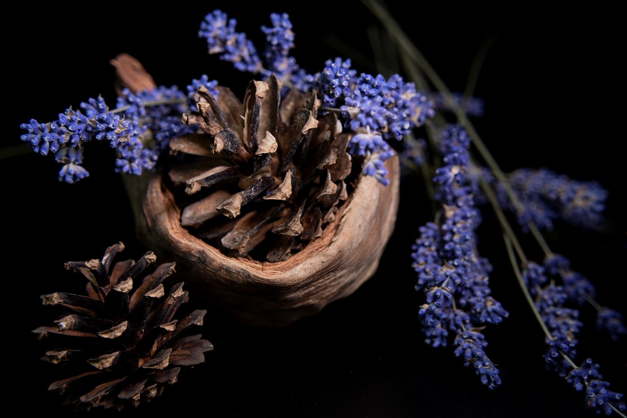 Image - lavender coconut cone
