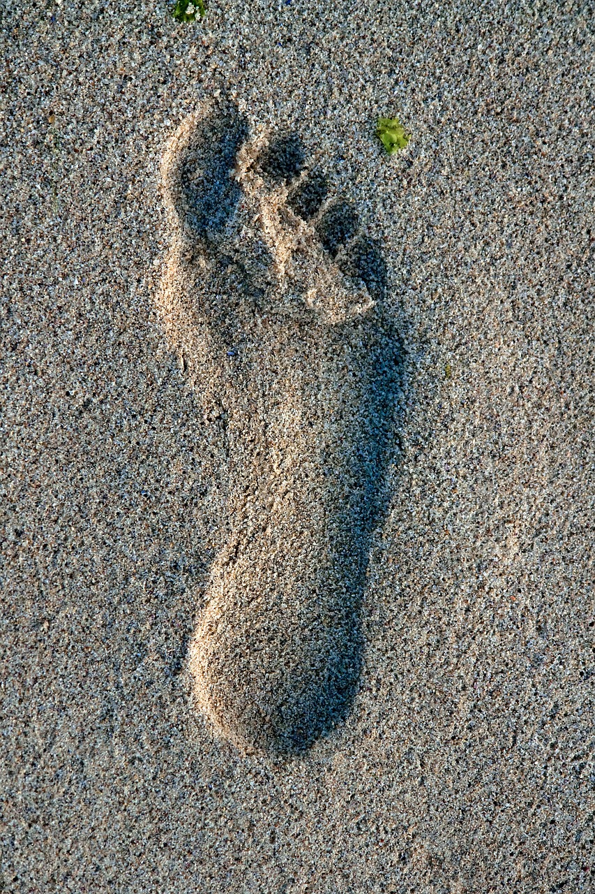 Image - lotus feet of the guru lotus feet