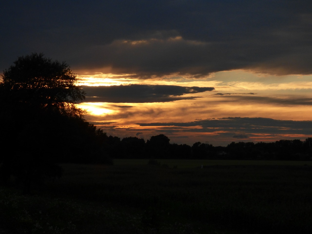 Image - country nature tree sunset