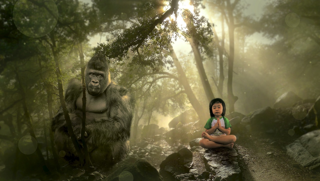 Image - fantasy forest gorilla child mood