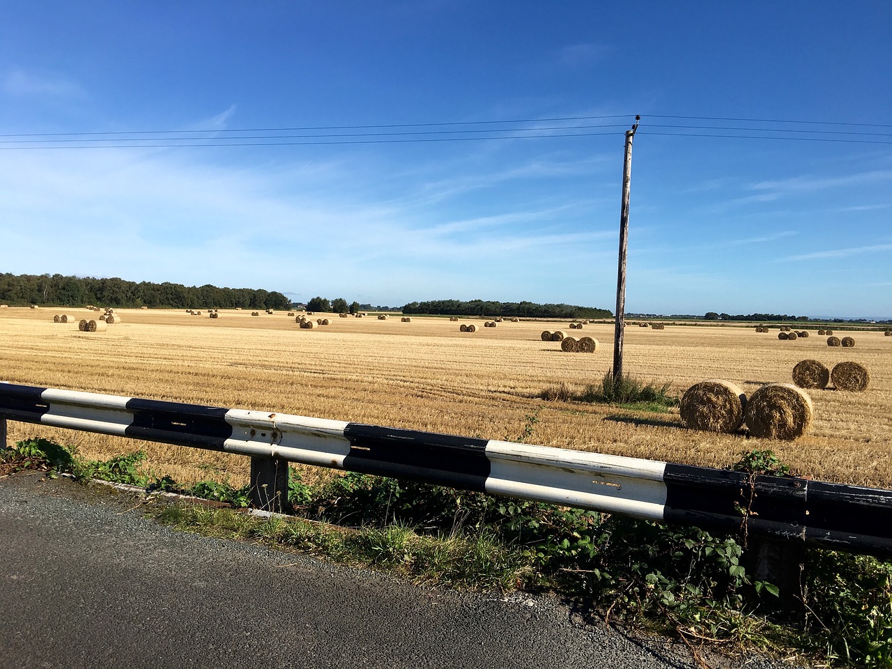 Image - summer harvest hay bails blue