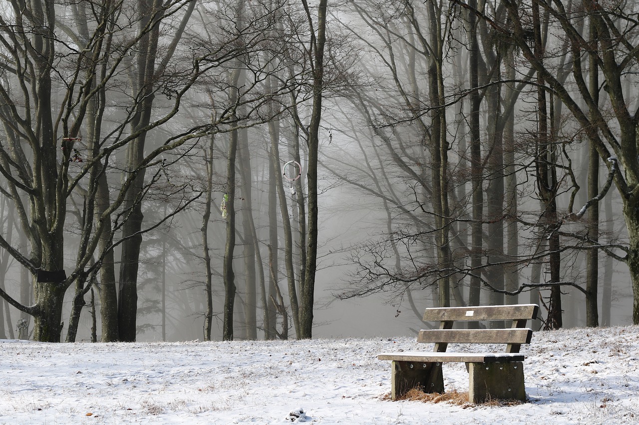 Image - park bench loneliness forest fog