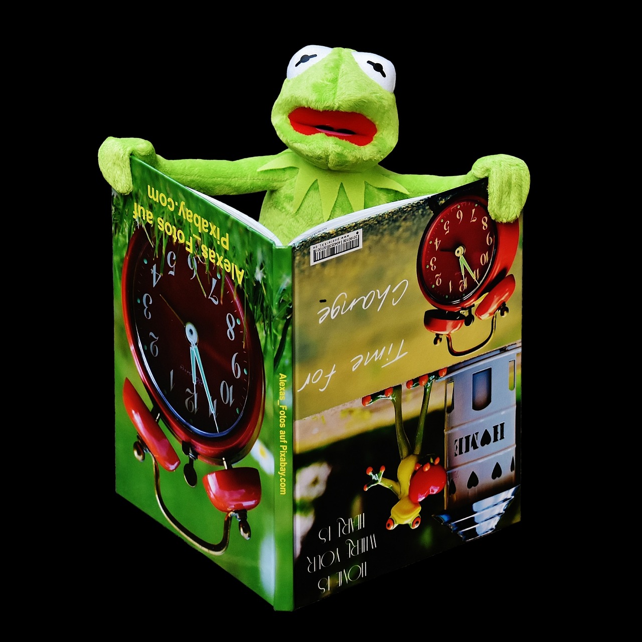 Image - kermit book picture book to watch