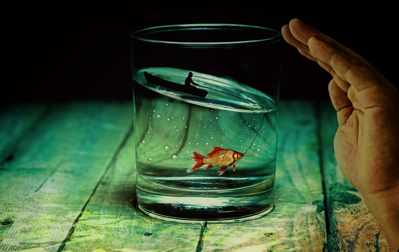 Image - water glass angler fish goldfish