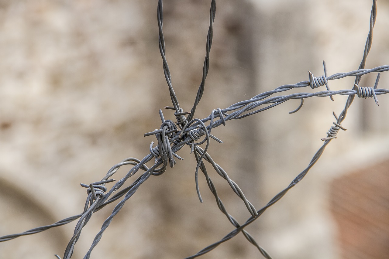 Image - fence wire hawthorn wired