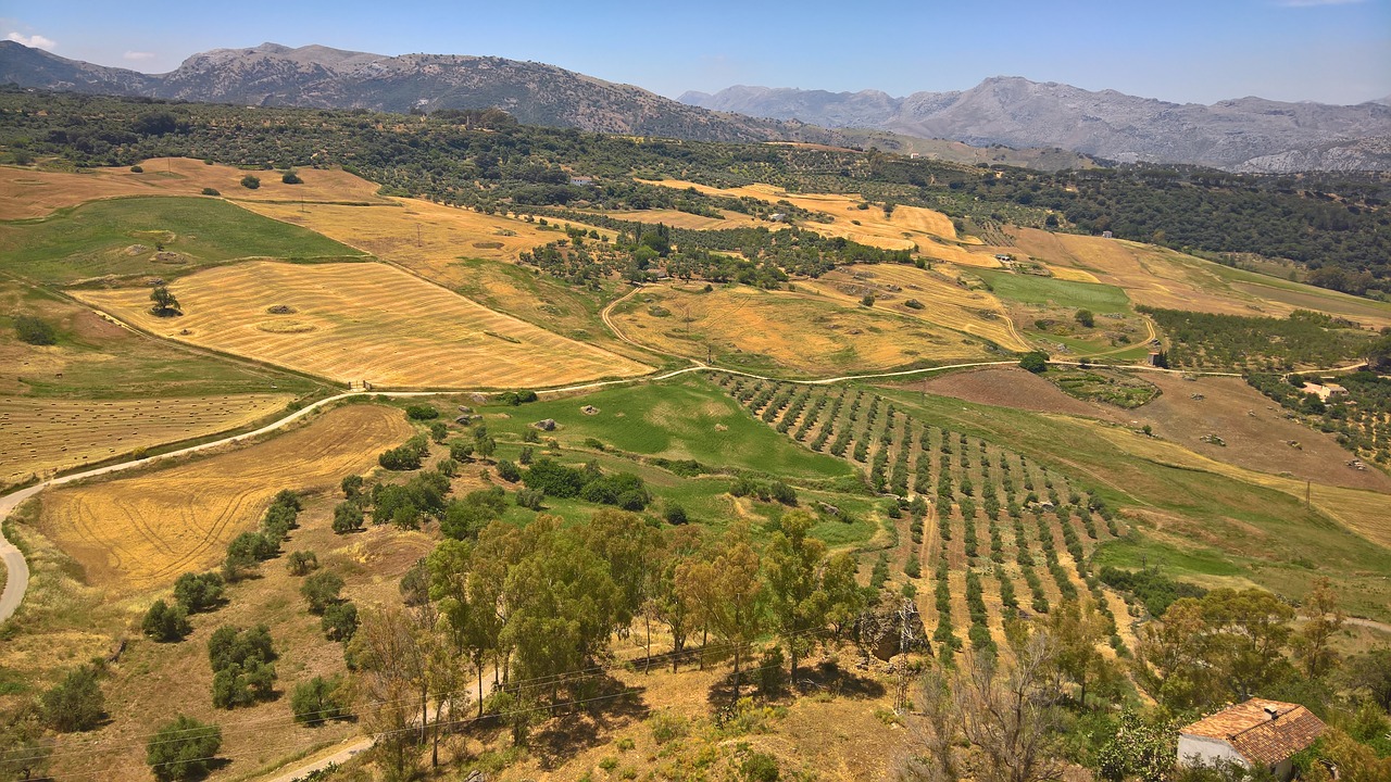 Image - landscape spanish dry scenic