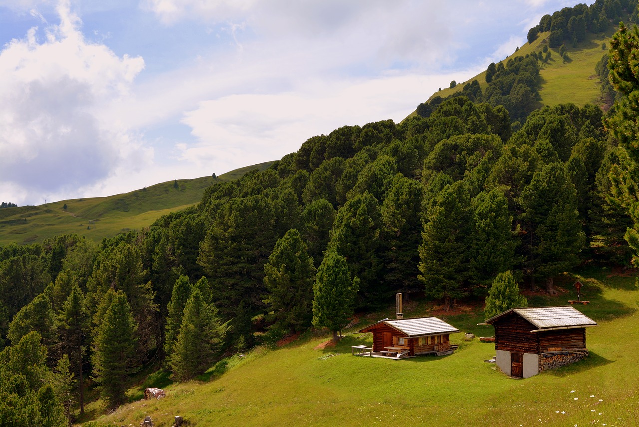 Image - baita prato mountain tree forest